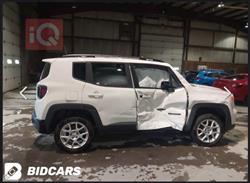 جيب رينيجيد